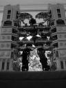 dsc03370.jpg