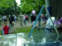 dsc03151.jpg