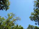 dsc03168.jpg