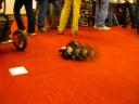 lsc-e-week-2-15-2010-a6.jpg