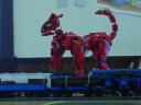 dsc05821.jpg