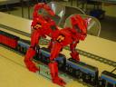 dsc05877.jpg