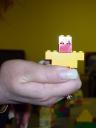 dsc06955.jpg