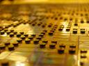 dsc08067.jpg