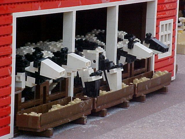 ll8.jpg