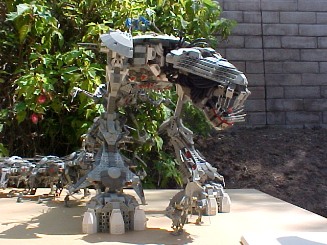 cankerworm1.jpg