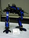 dsc06269.jpg