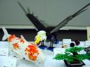 dsc06354.jpg