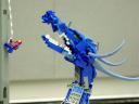 dsc06379.jpg