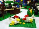 dsc06382.jpg