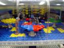 dsc06409.jpg