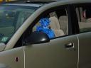 dsc06533.jpg