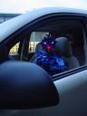 dsc06539.jpg