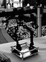 dsc03627.jpg