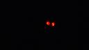 dsc00292.jpg