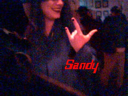 sandy13.jpg