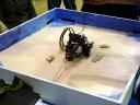 dsc01377.jpg