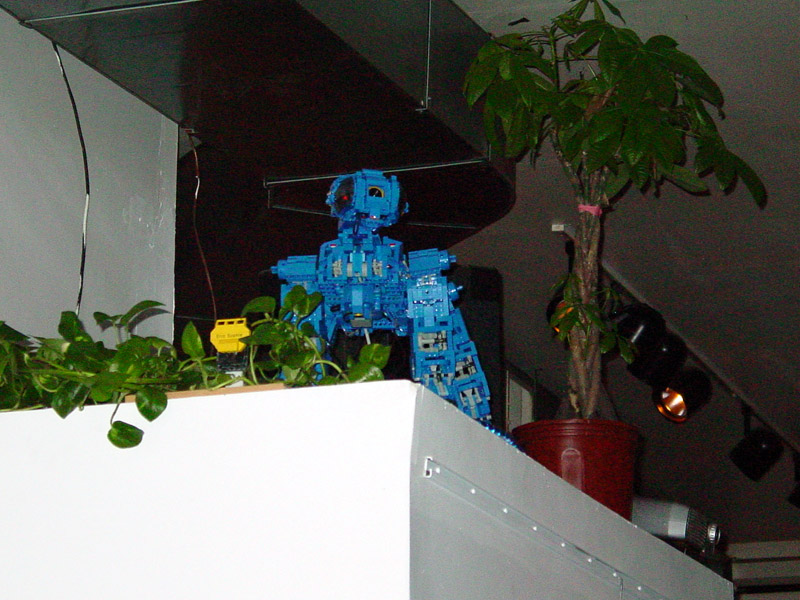 dsc01859.jpg