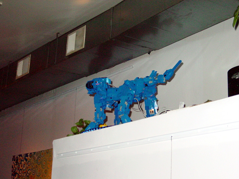 dsc01874.jpg