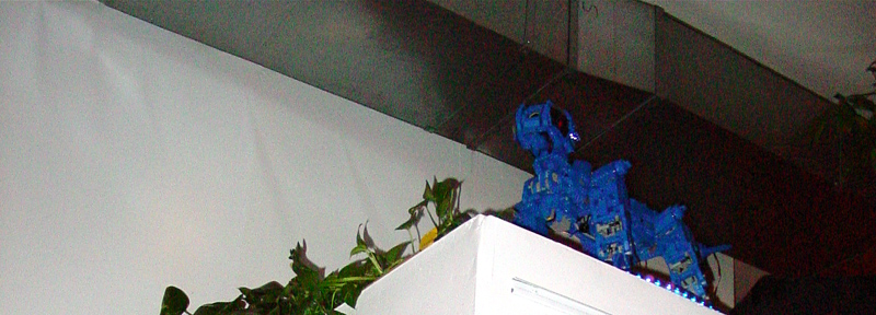 dsc01880.jpg