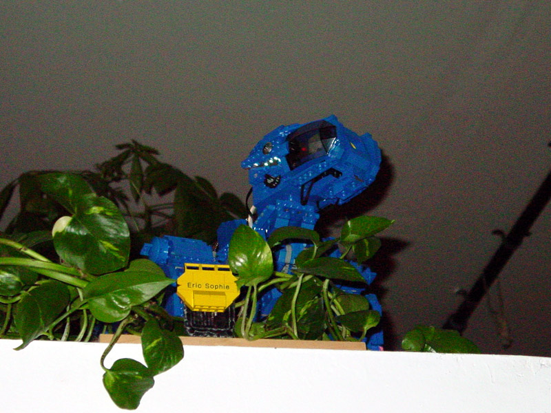 dsc01881.jpg