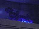 dsc01865.jpg