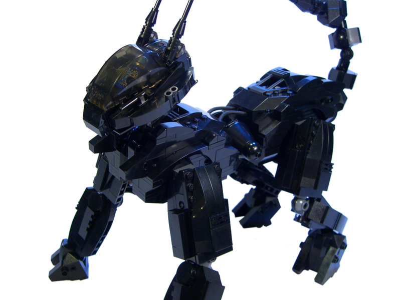 gpq-eslc-2010-b1.jpg
