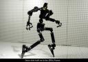 z-skin-built-on-to-the-zrx1-frame.jpg