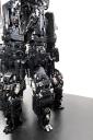 09-18-legs-ixicthis-eslc-2021.jpg