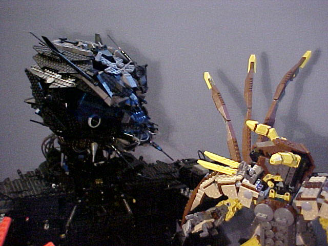 qvz93.jpg