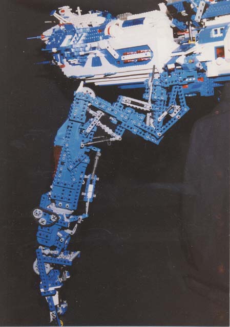 mantis-leg1.jpg