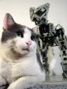6-4-mr-jeeves-mr-jeeves.jpg
