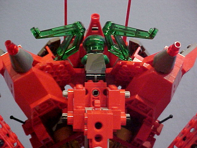 rgback-head.jpg
