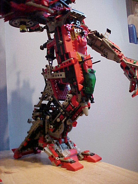 rrinleg1.jpg