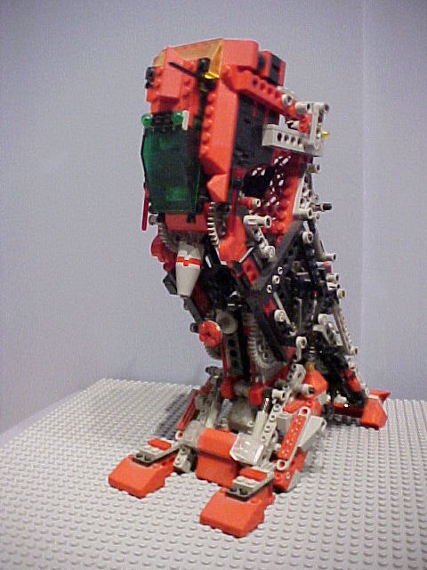 rrleg1.jpg