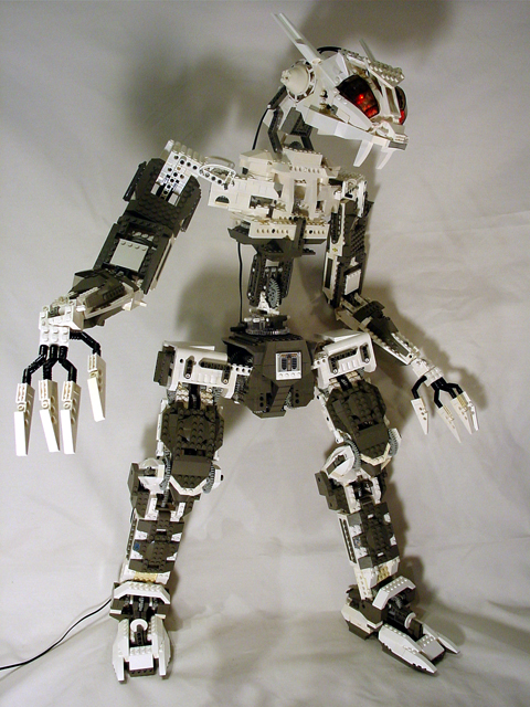 rumble-bunny-1.jpg