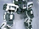 rumble-bunny-101-9.jpg