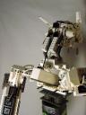 rumble-bunny-4.jpg