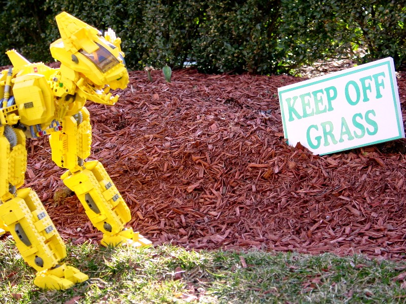 3keep-off-grass.jpg