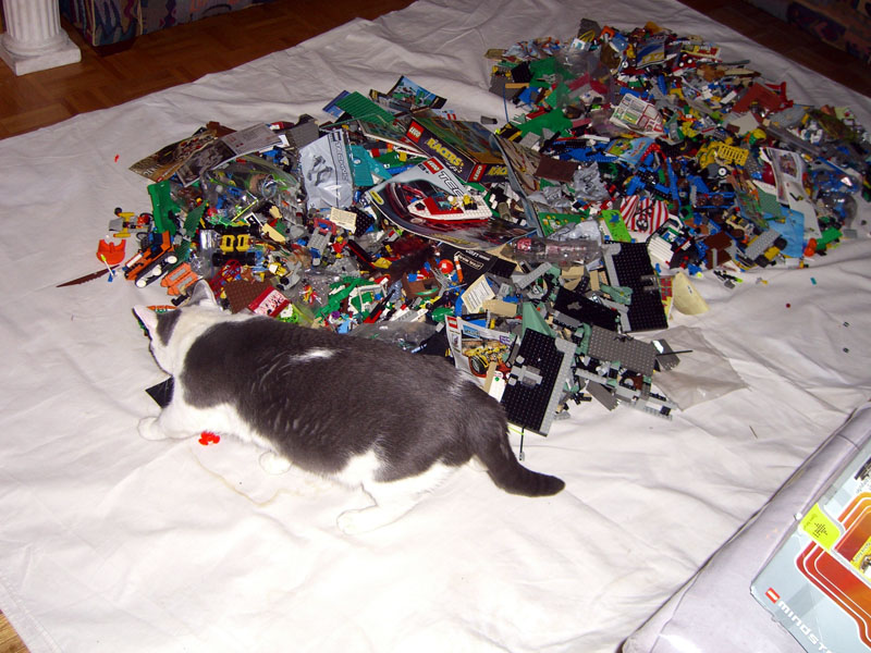50lbs-loot-find-2009e.jpg