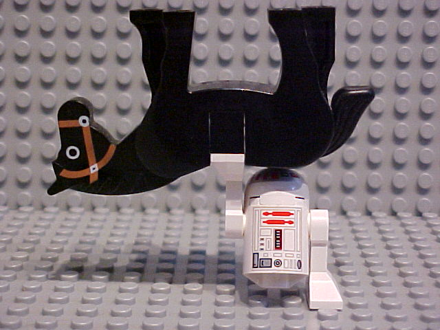 r2workout.jpg