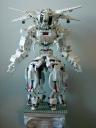 whexoid-1-2-1200x1600.jpg