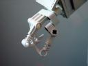 whexoid-2-4.jpg