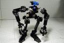 03-zrx2.jpg