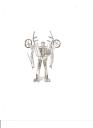 lawn_mower_transformer.jpg
