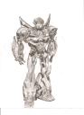 prime_bumblebee.jpg