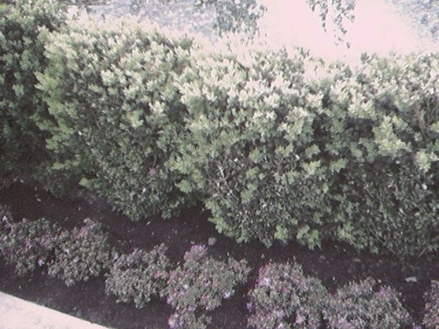 image011.jpg