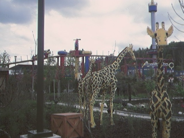image063.jpg