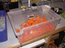 pict0029.jpg