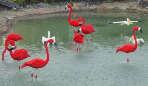 flamingos.jpg
